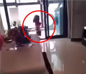 主人嫌弃泰迪狗全身跳蚤,主人嫌弃狗狗脏