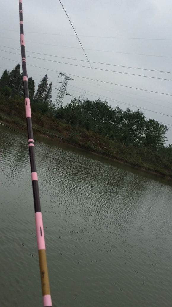 新手钓鱼，用2000的竿子，值不值？