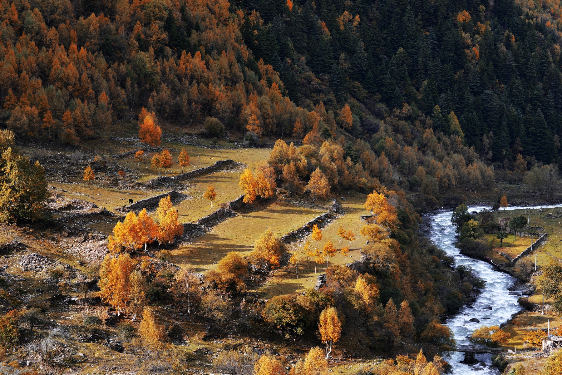 四川雅安宝兴夹金山天气预报,赞美宝兴夹金山红叶