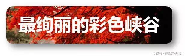 秋看落叶，夏玩水！成都边边观红叶圣地推介