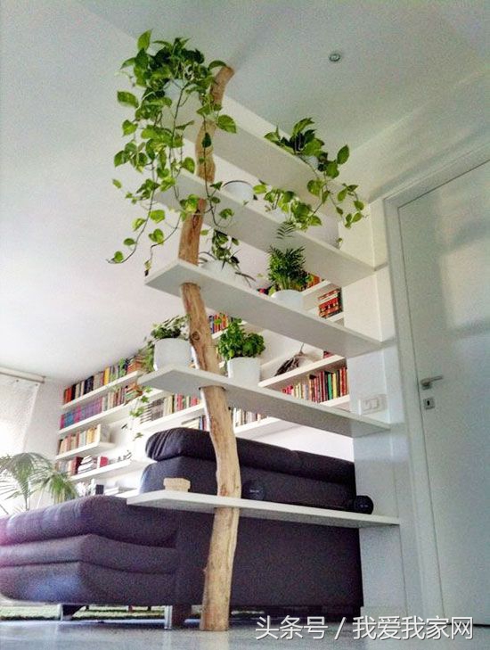 又好看又简单的书架,造型书架效果图