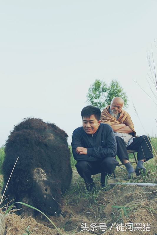 在人类历史上，曾有一款包子因一部大片而诞生