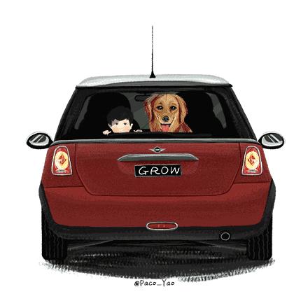 买车省钱指南 (这才是去买车正确的打开方式)