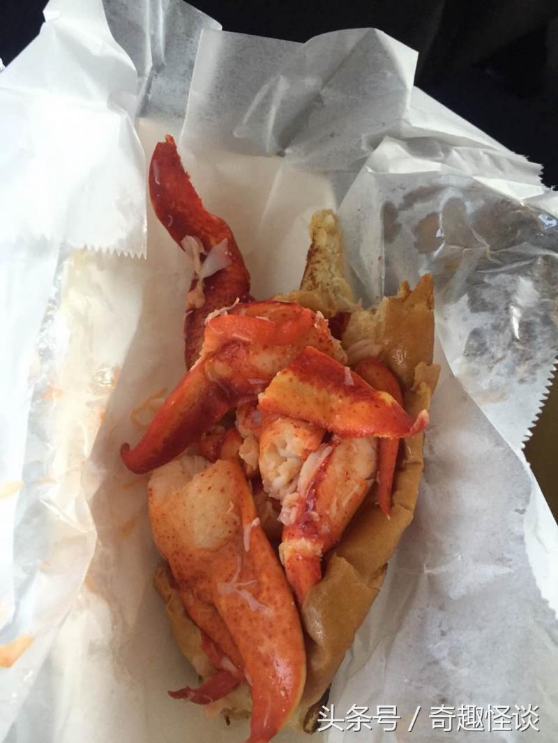 在美国旅游视频教学,美国自由行自驾游