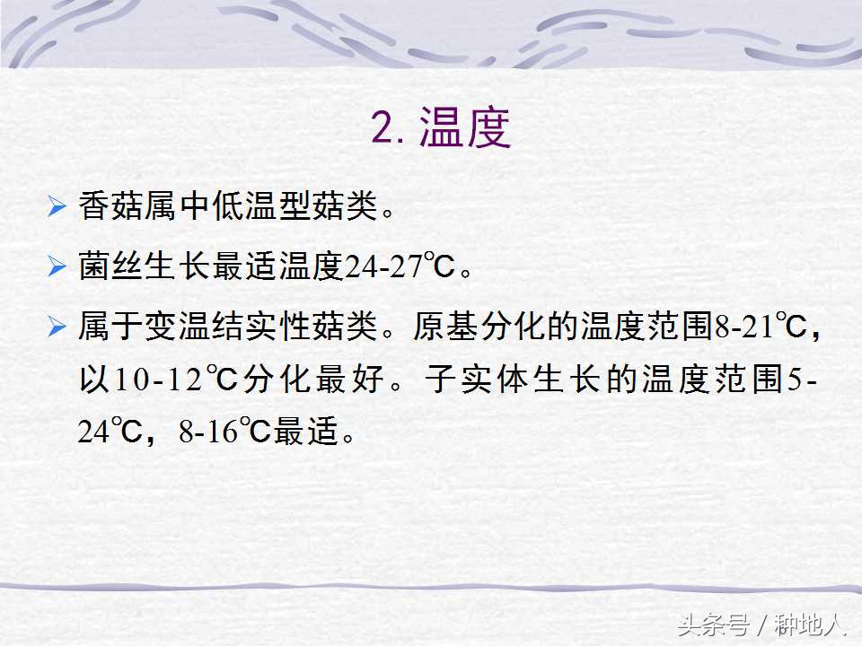 香菇栽培实用技术教案,屋顶香菇栽培