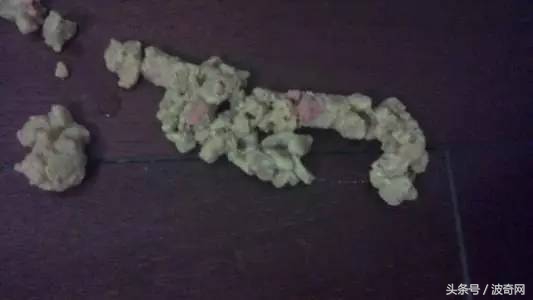 猫咪呕吐怎么判断是猫粮的问题,猫咪呕吐如何确定是猫粮问题