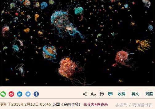 塑料微颗粒对人体的危害,微塑料颗粒危害