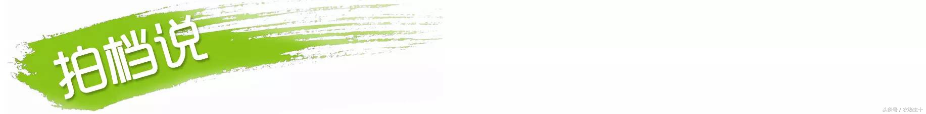 牛油果这么难吃，怎么变成大爆款？这可能是最成功的*脑洗**型营销