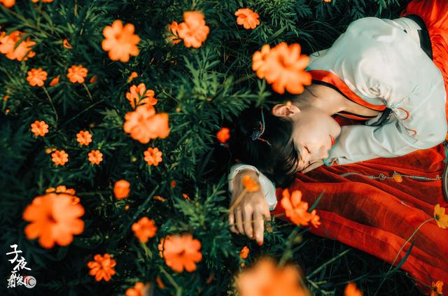 上辈子是锦鲤的小说,小说重生成一只锦鲤