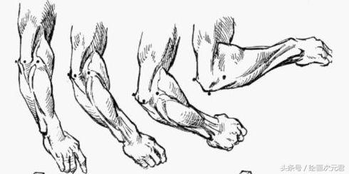 画好的人体结构画法,人体结构与动态基础教程