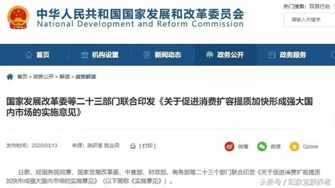 虚拟养老院严管,虚拟养老院深度解析