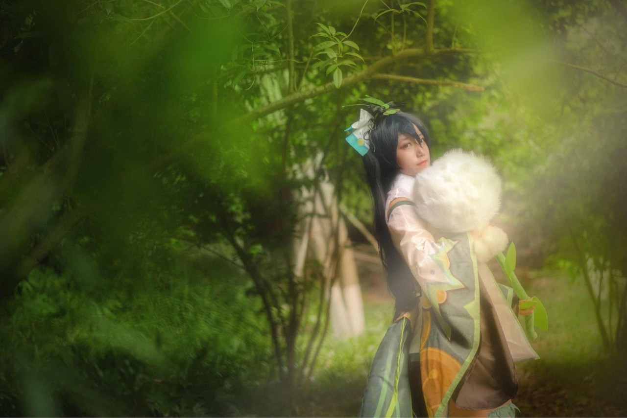 闪光甲贺忍蛙高清,闪光甲贺忍蛙绿宝石