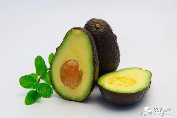 牛油果是如何风靡全球的,牛油果是怎样炒作起来的