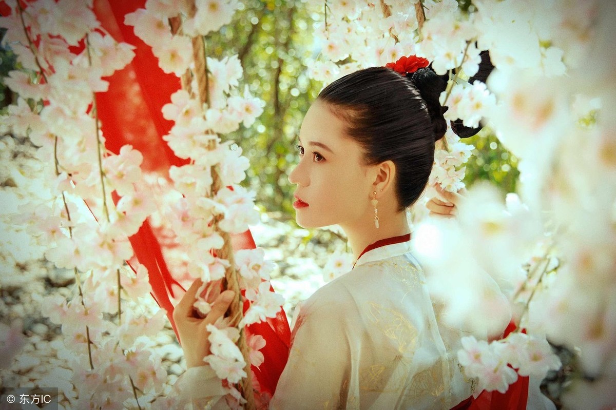 小说被退婚,罗家少主被退婚的小说