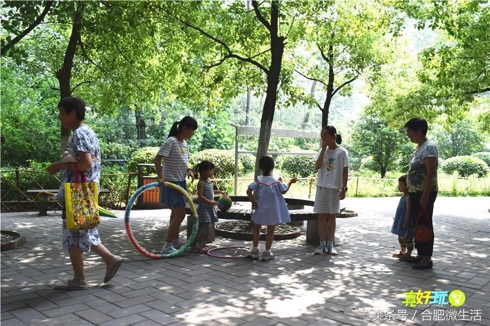 老合肥杏花公园,合肥曾经有两个杏花公园