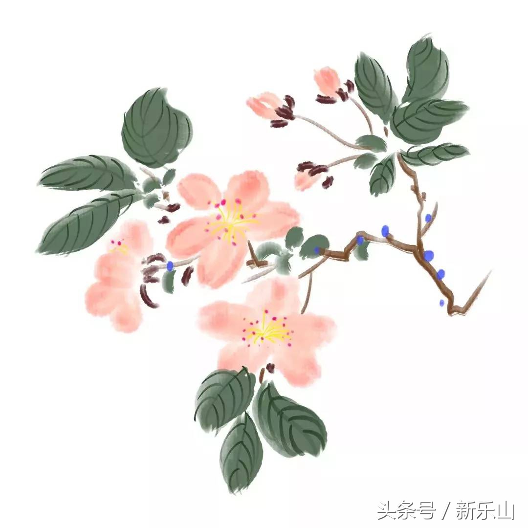 乐山的春天有多美,没去过乐山大佛但感觉去过