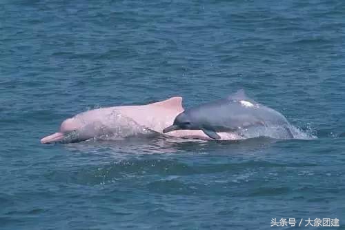 珠海长隆海洋王国游玩攻略时间表,珠海长隆海洋王国游玩攻略文字版