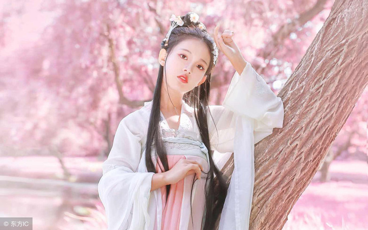 小说：她是苏家大草包，可诗会上她出口成章，吸引了王爷的目光