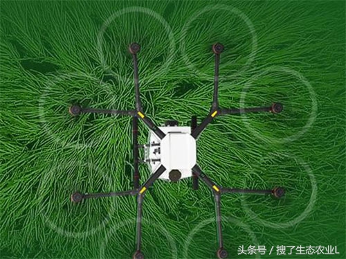 2022创业项目推荐适合创业的项目,农村实体店创业好项目大全