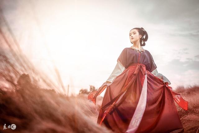 小说：太子想趁他受伤，占了她的身子，谁知被她五花大绑扔进*楼青**