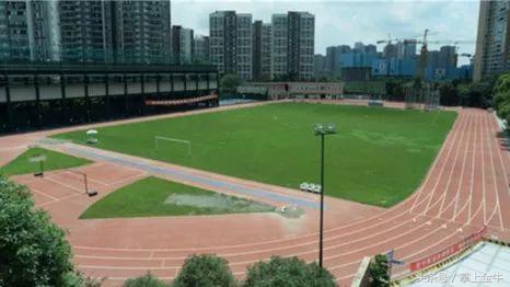 本周四（8日），成都将有近百个公共体育场馆免费开放