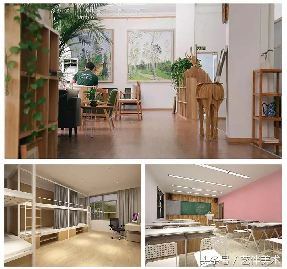 栾树画室北京,栾树画室有集训吗