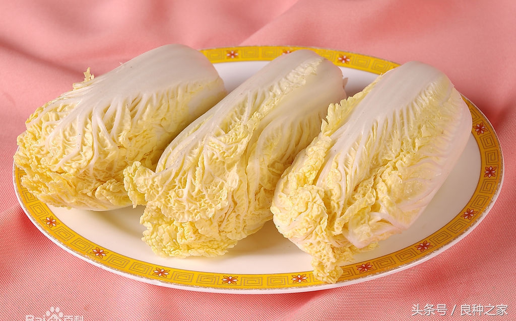 餐桌上常见的本土作物是什么,10种常见的粮食作物