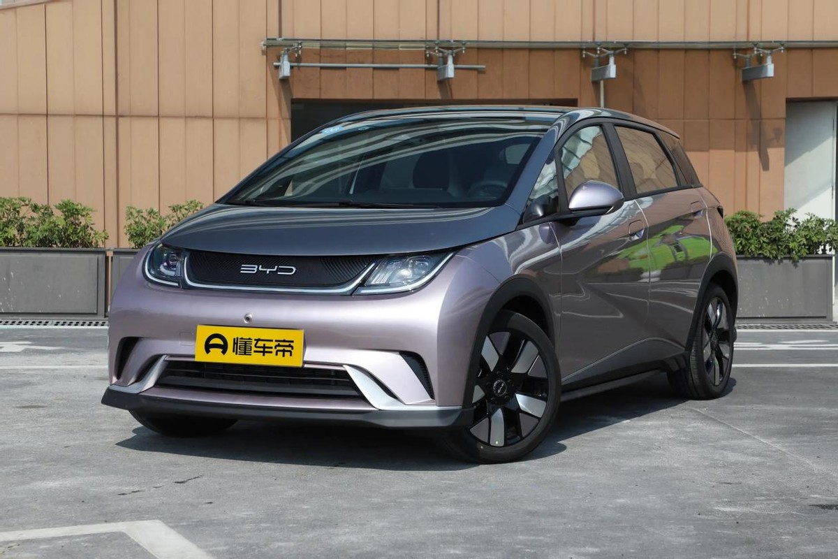 10万预算比亚迪海豚怎么样,海豚比亚迪2022款自由版落地价