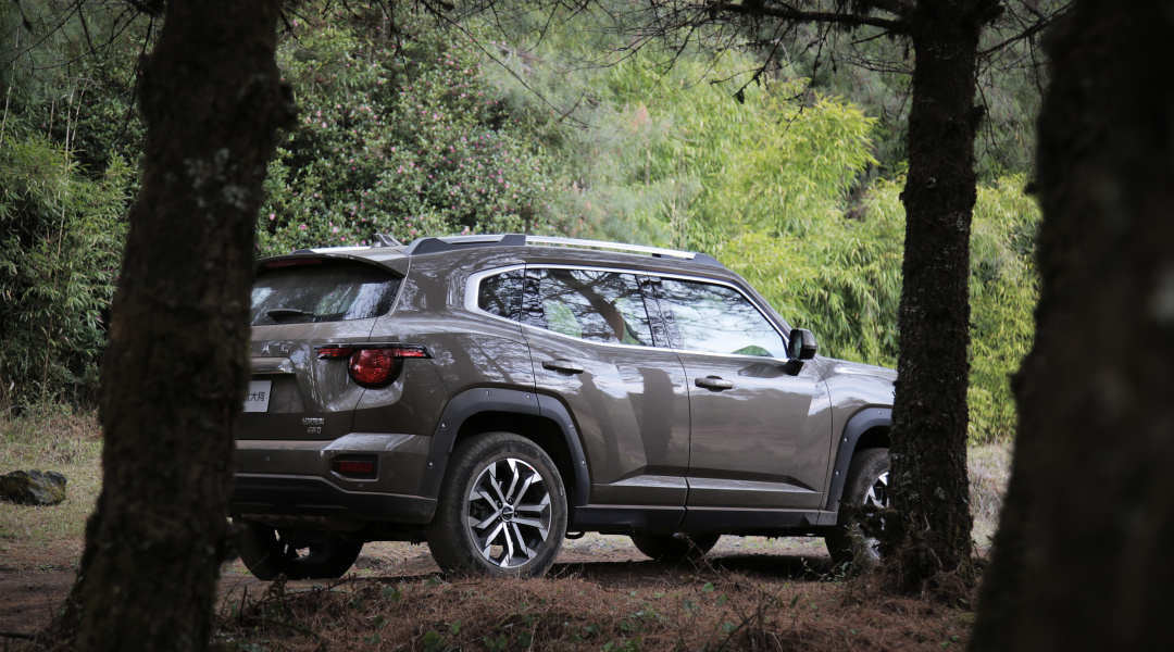 二代大狗燃油版深度试驾,大狗二代2.0t燃油版潮野版plus