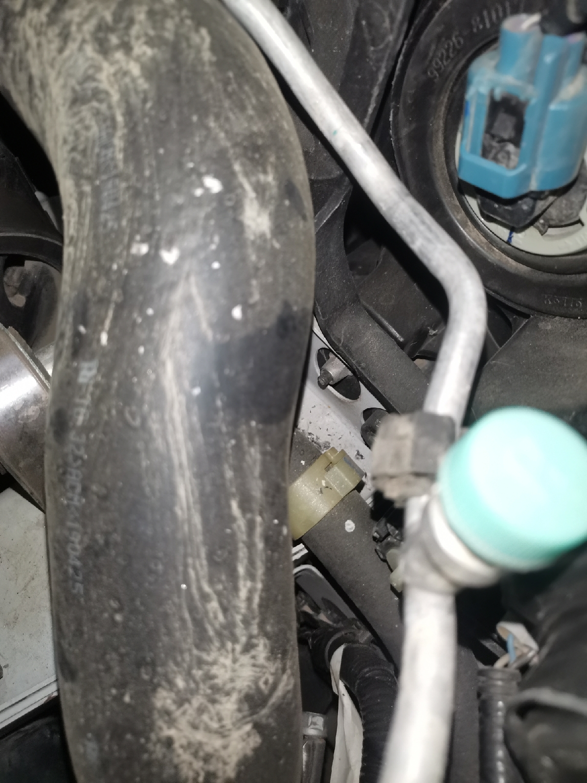 9万5买台开了三年的本田思域，小哥从满怀期待到失望再到绝望！