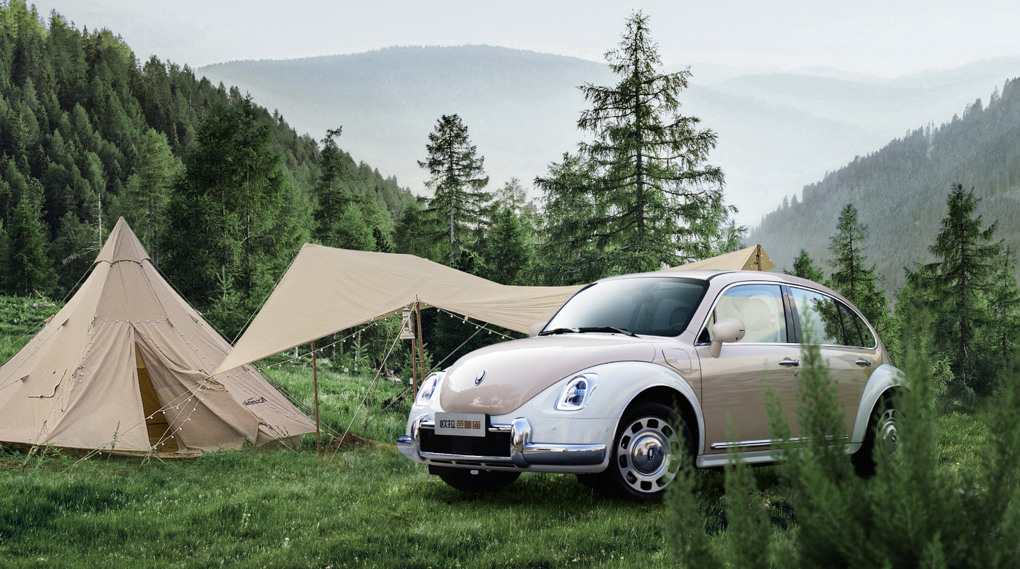 23款欧拉芭蕾猫测评,欧拉芭蕾猫最新款价格