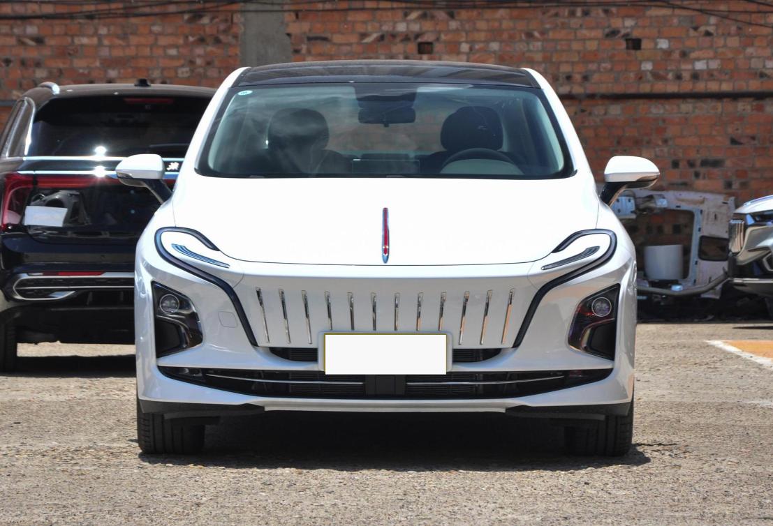 红旗电动车红旗e-qm5电池实际续航,红旗电动车红旗e-qm5东北冬天续航