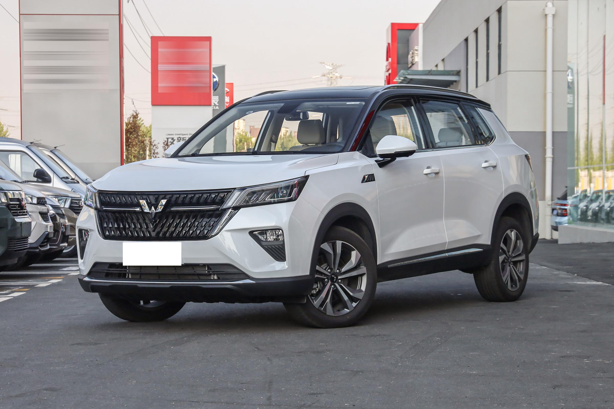 省油动力强又耐用的车子推荐一下,新能源汽车最佳推荐车型