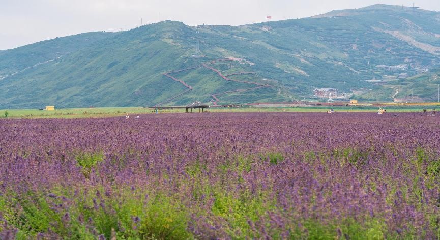 川西小环线4–5天自驾攻略,我的旅行日记川西自驾游
