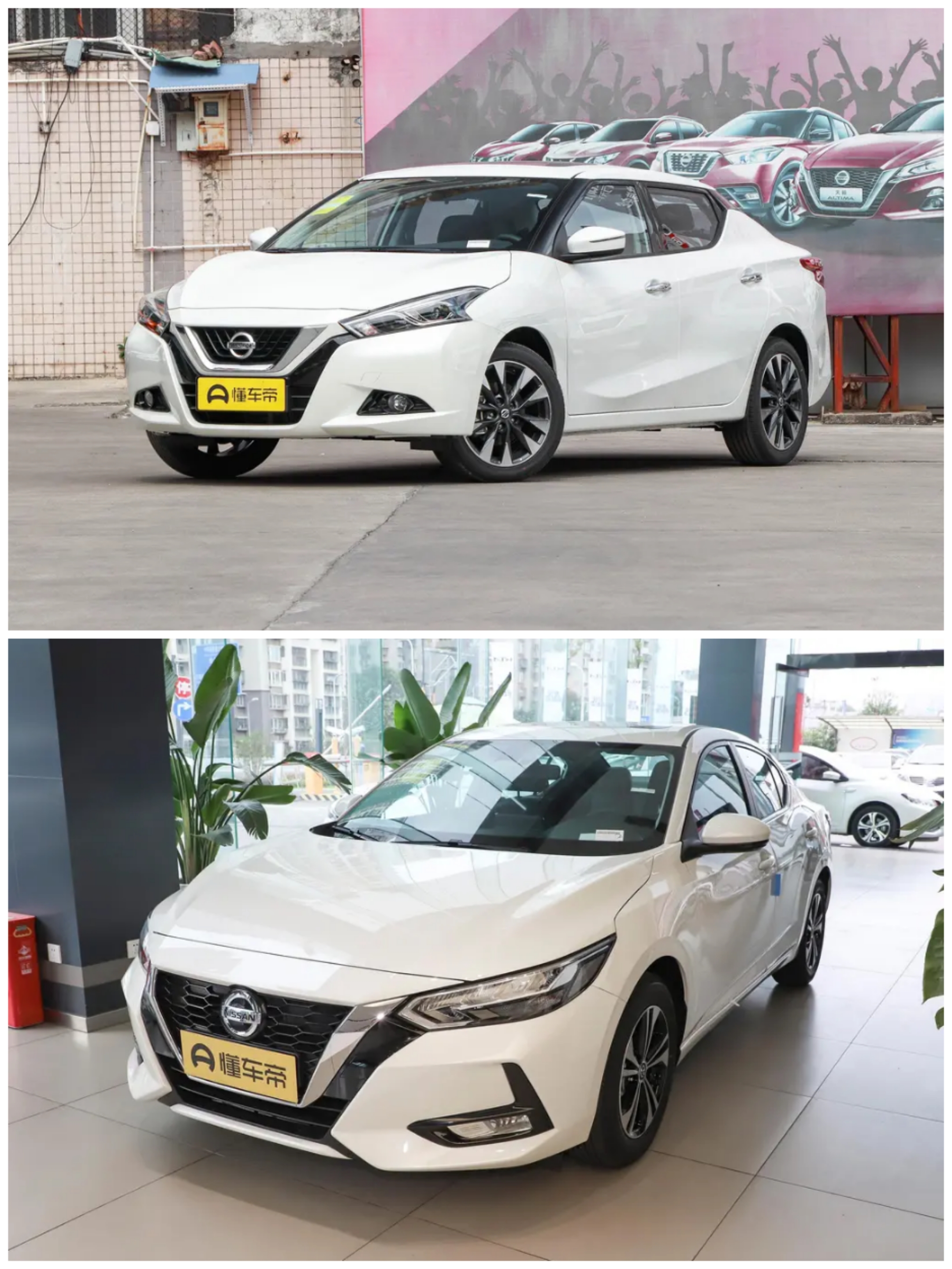 日产蓝鸟与哪款车有可比性,日产蓝鸟对比天籁