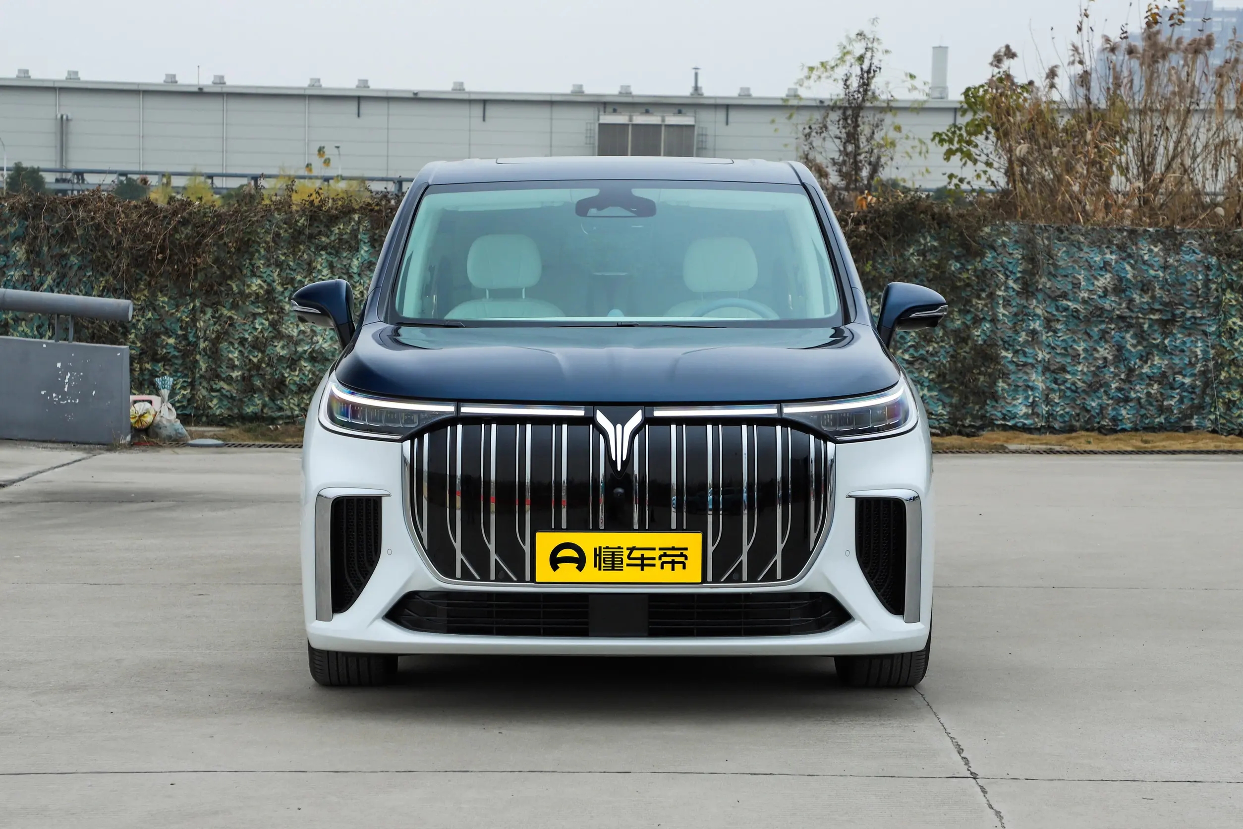 岚图新梦想家纯电动mpv深度测试,岚图梦想家七座商务混合动力续航