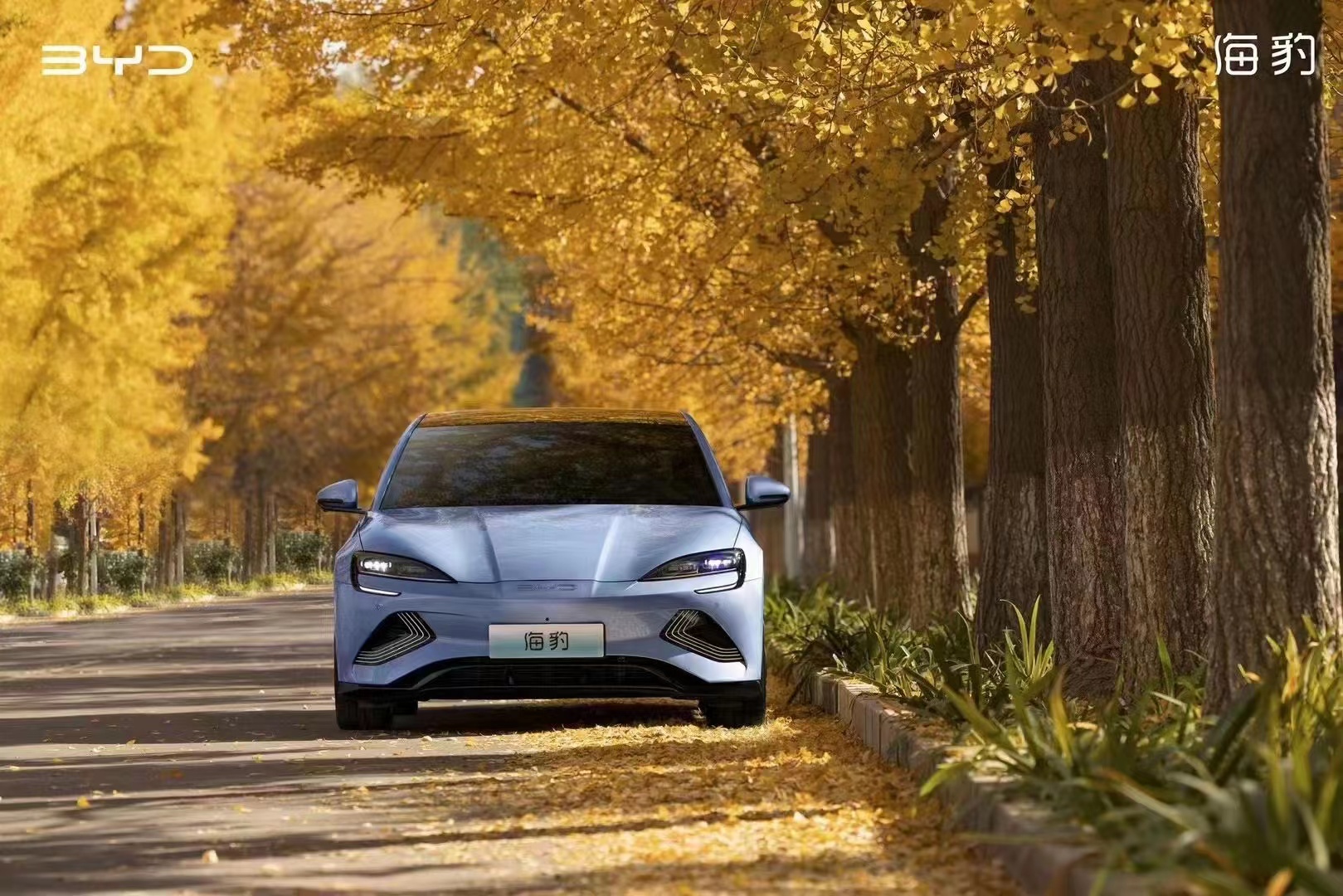 今年买车买什么车？当然是来邯郸南环比亚迪旗舰店买海豹喽