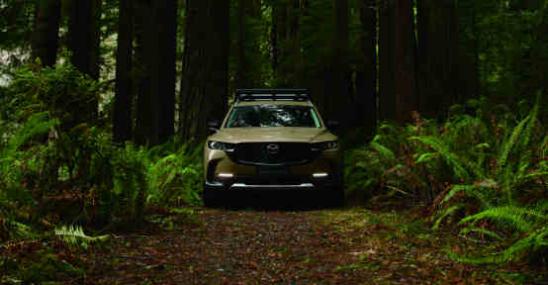 cx-50的领行版试驾,cx50八月优惠