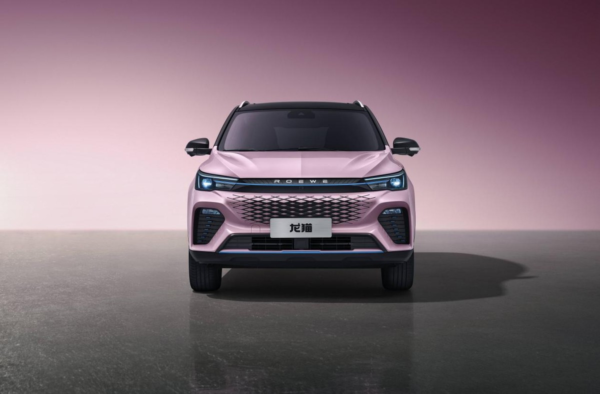 龙猫养车,龙猫养车怎样