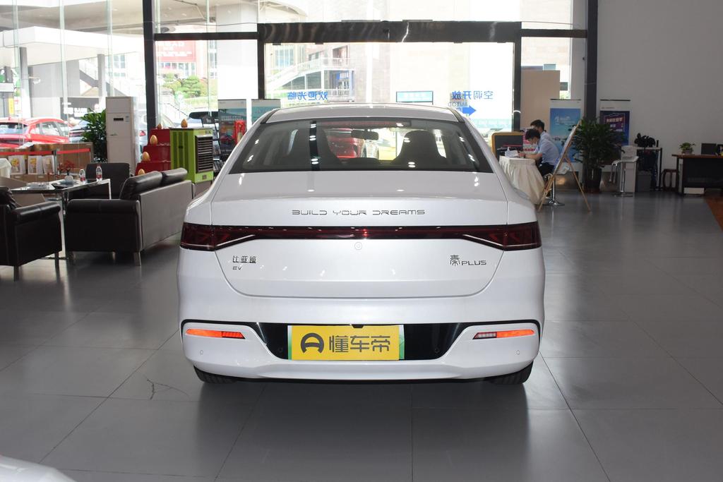 秦plusev跑滴滴必须是出行版吗,秦plusev其它版本合适跑滴滴吗