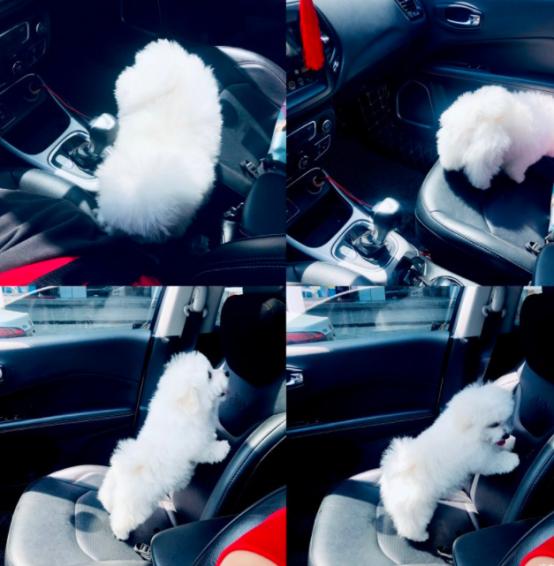 老指南者驾驶感受,指南者性能