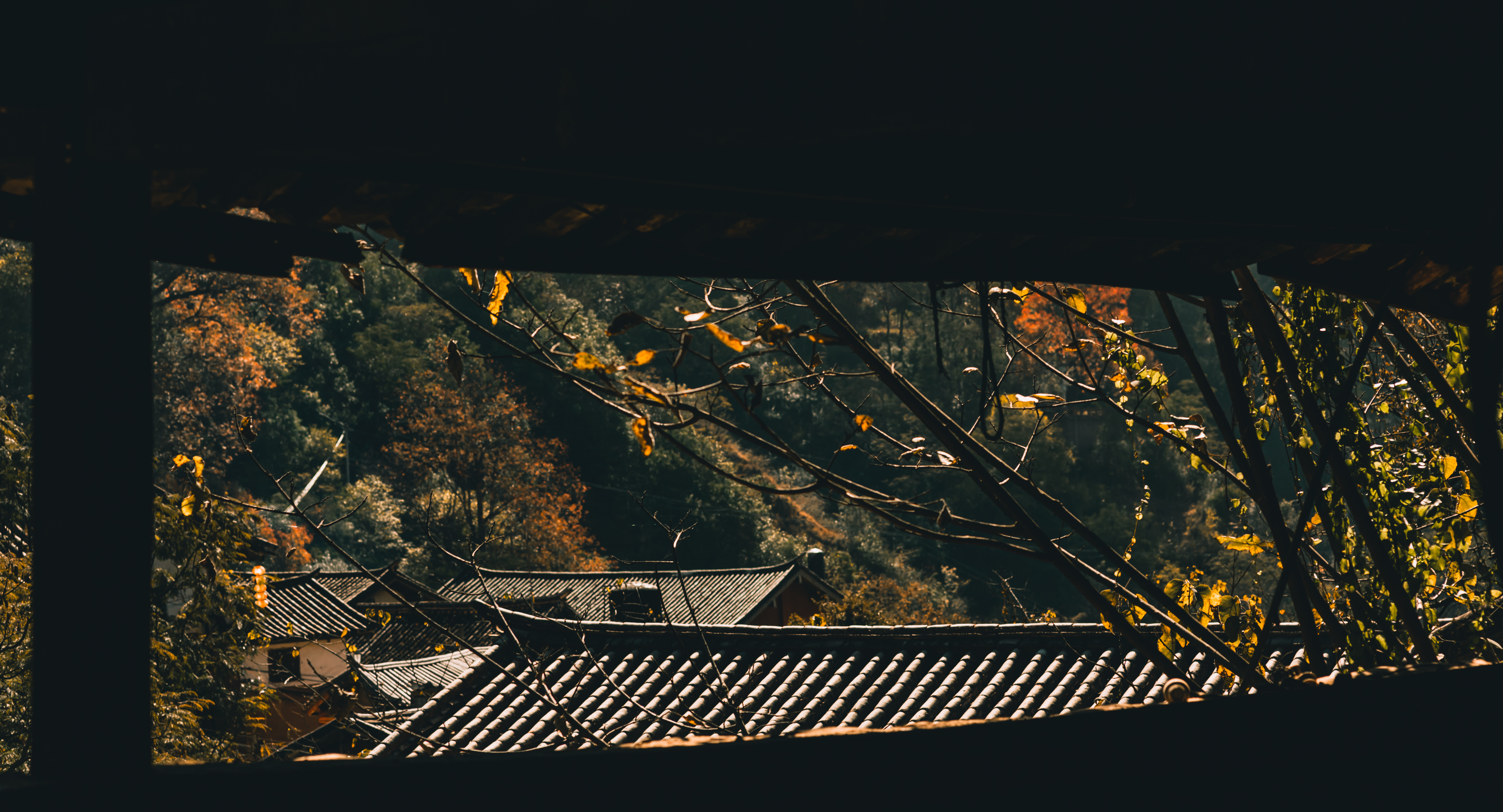 孩子手残了，老父亲泪目，求着医生想把自己的手指给孩子