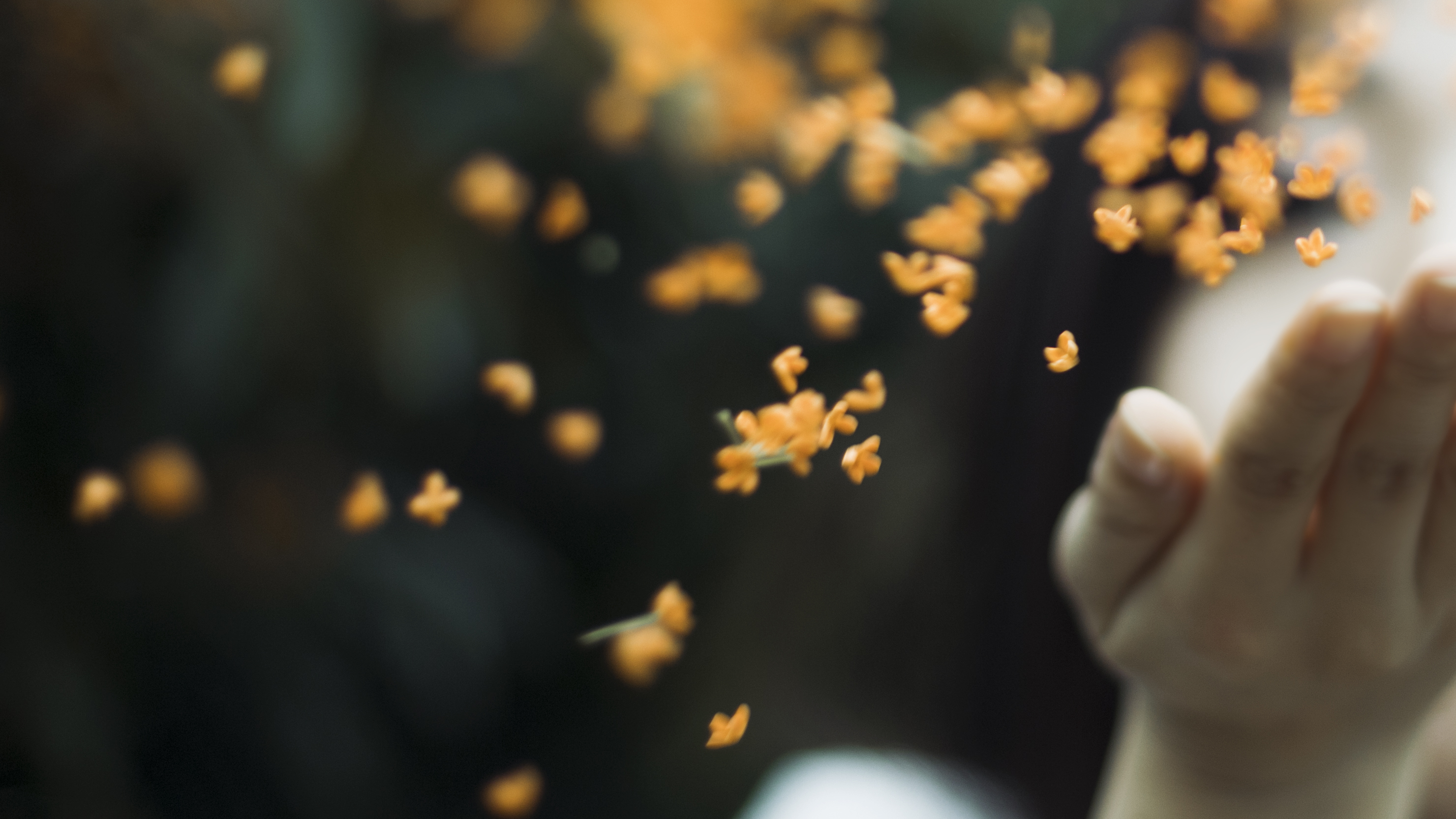 女子为什么出家为尼,出家为尼全过程