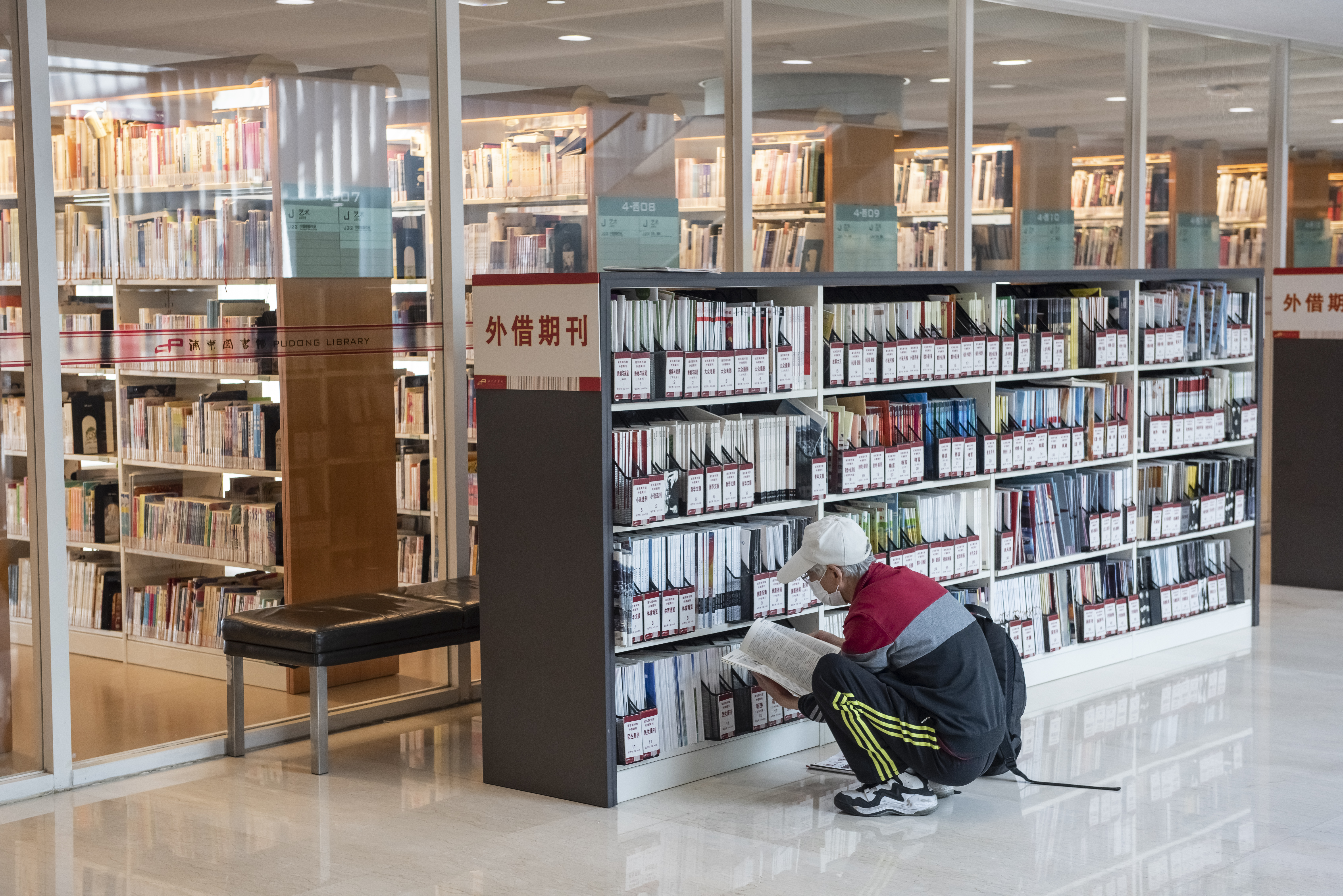 五味子补肾固精,五味子是补肾虚还是肾阳虚