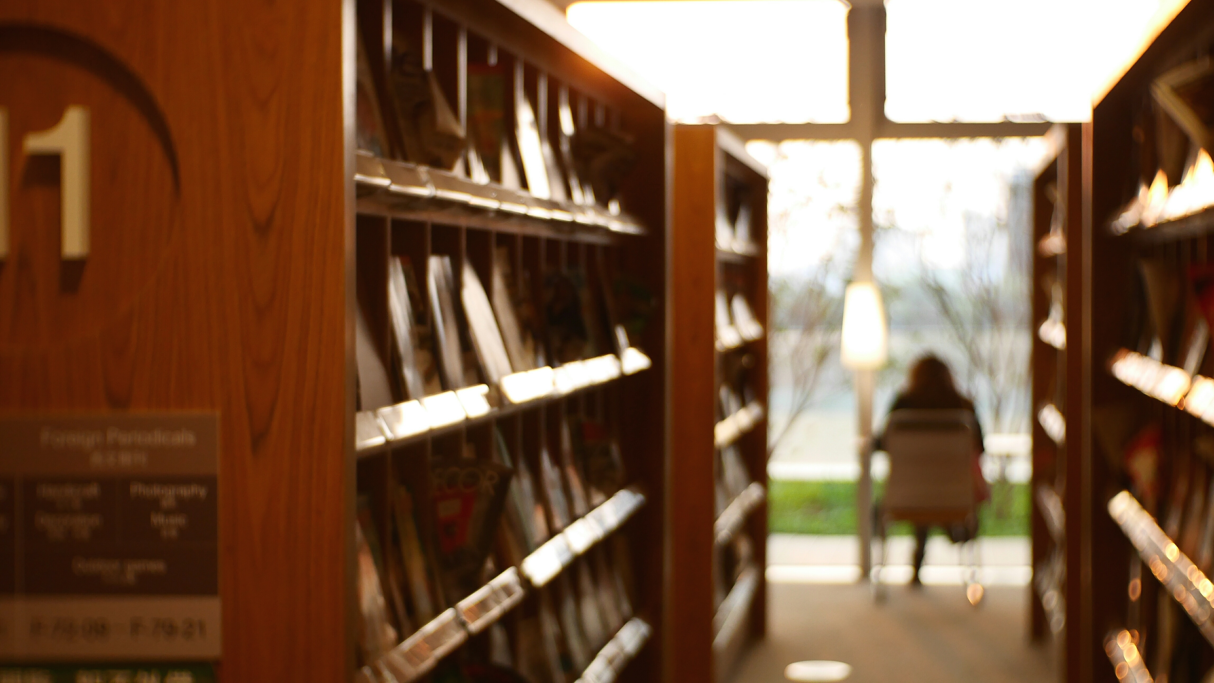 小伙进入游戏世界,小说男主进入了游戏