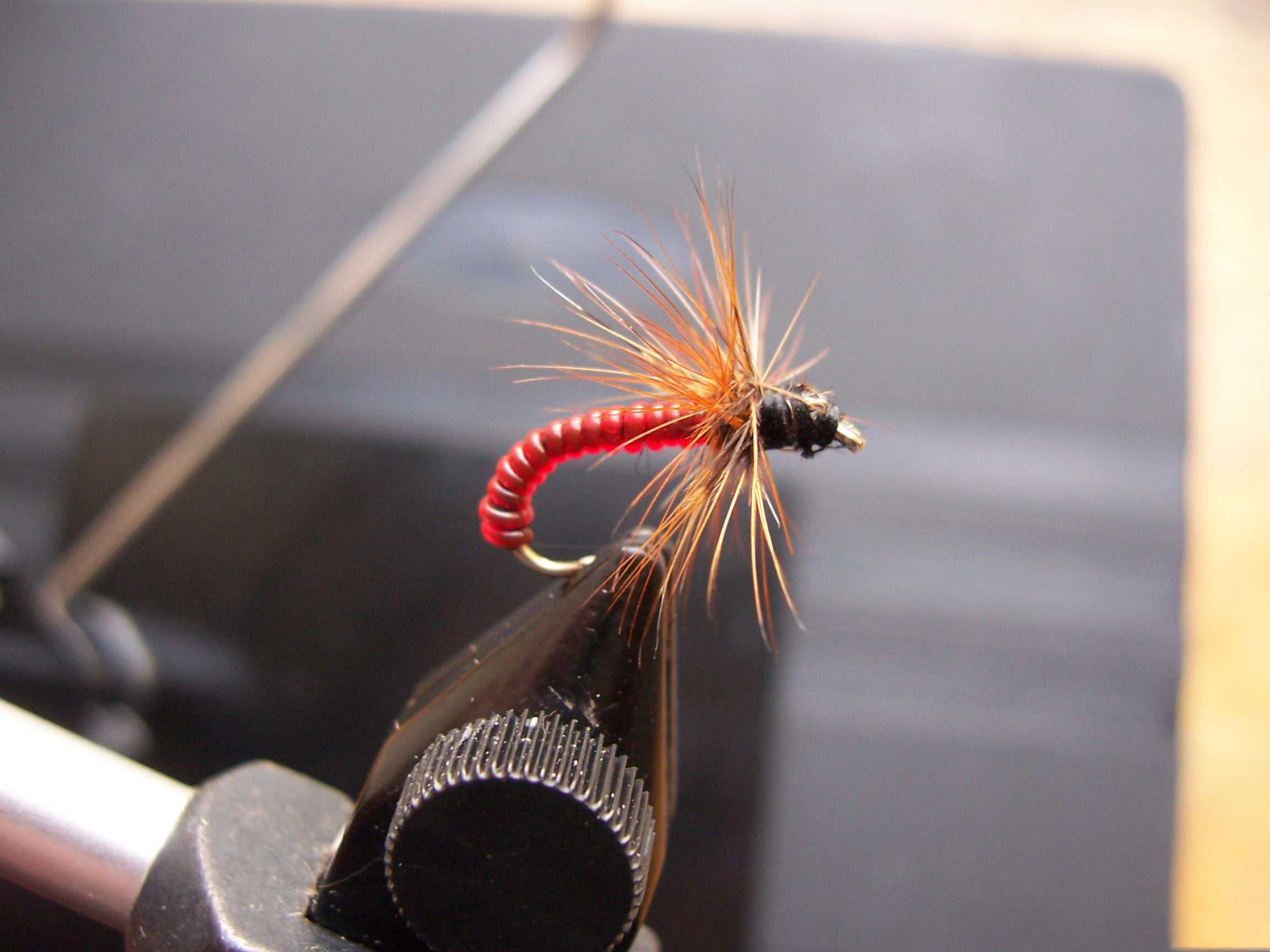 阿勒泰地区,追寻这种冷水溪流中的精灵“花翅子”现在已经禁钓