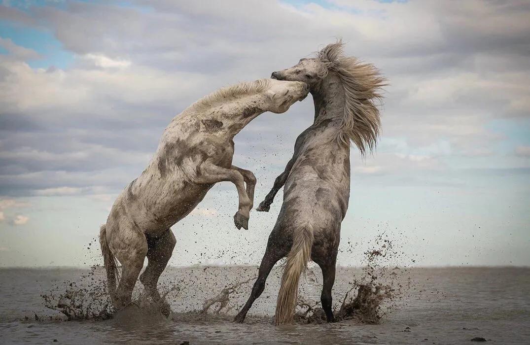 道德经读后感悟1000字,道德经核心思想就八个字