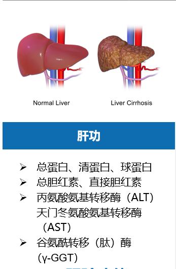 甲胎蛋白afp持续升高多少判定肝癌,甲胎蛋白是诊断所有癌的指标吗