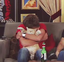 猫咪与自家小猫相处之道,怎么吸引猫咪让猫咪一直在你身边