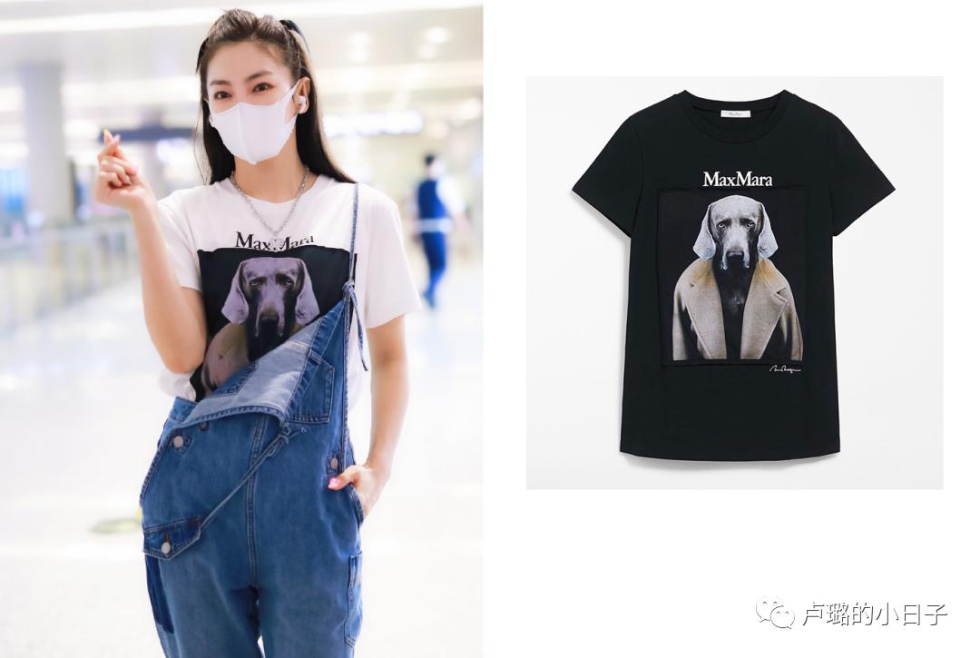 3分钟看乘风破浪的姐姐,看乘风破浪的姐姐第4季反应